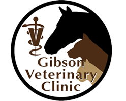 Gibson Vet Clinic